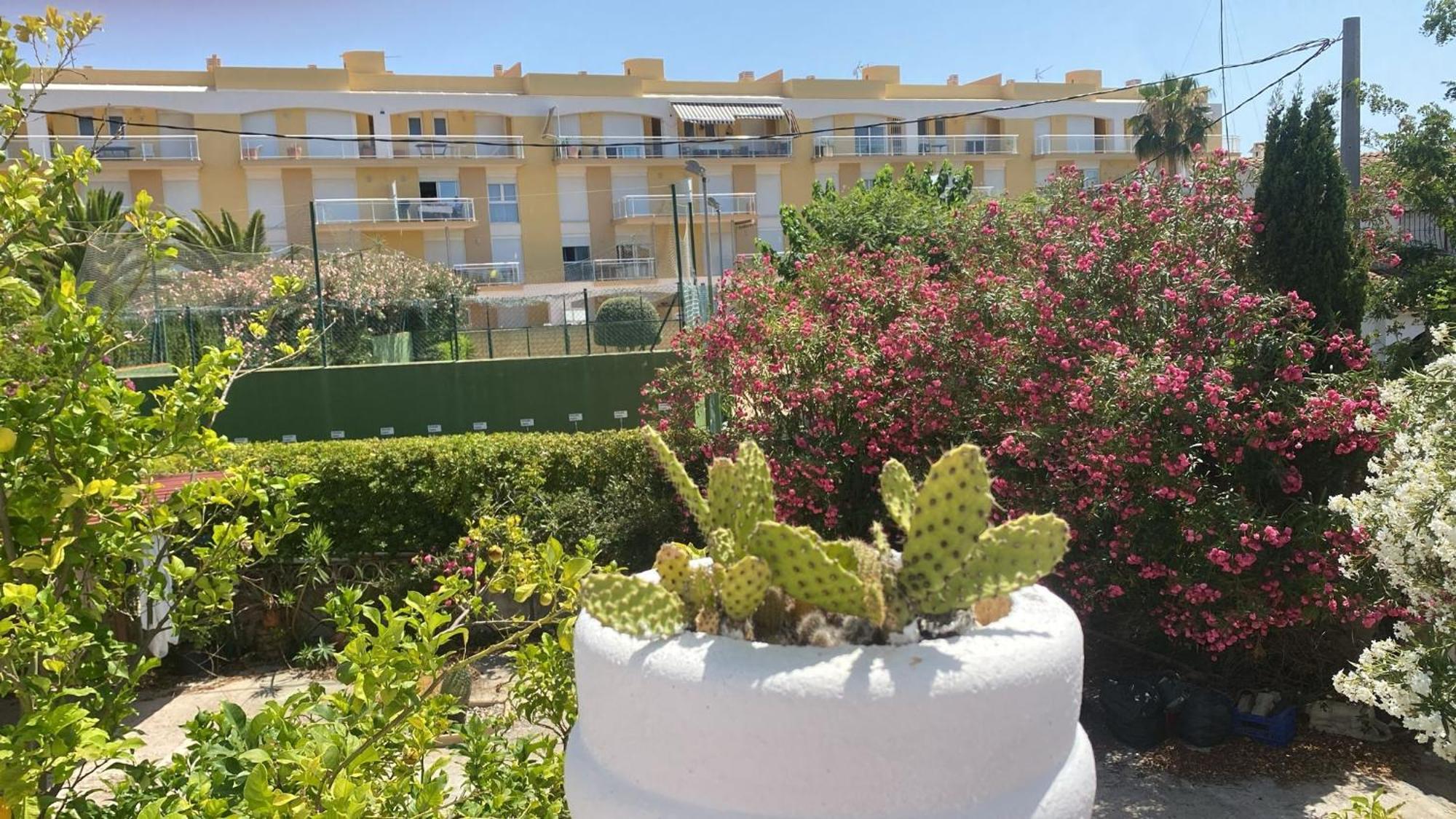 Chalet Denia Playa Primera Linea Экстерьер фото